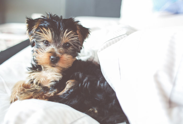 The best price when you book directly